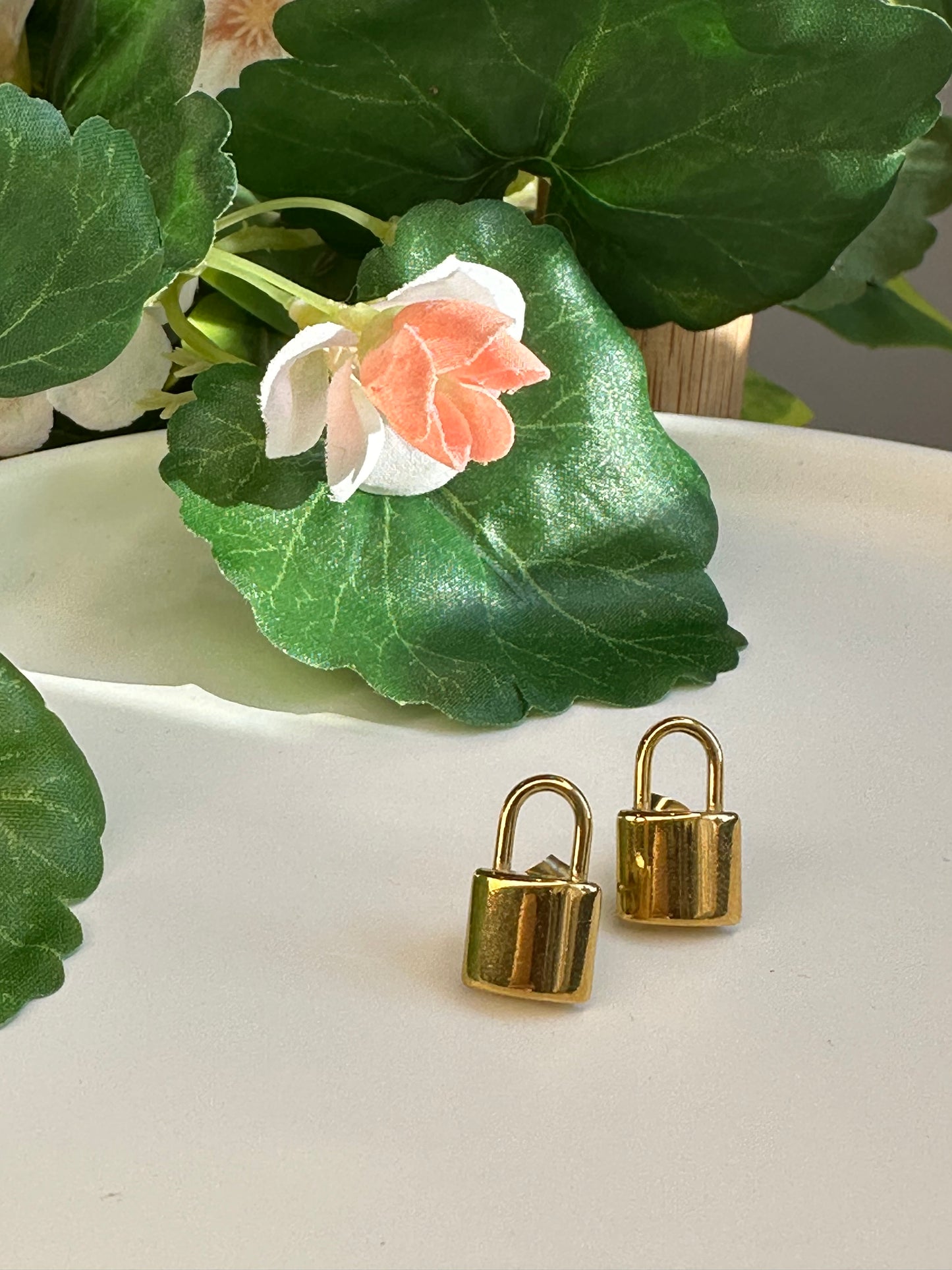 Lock earrings